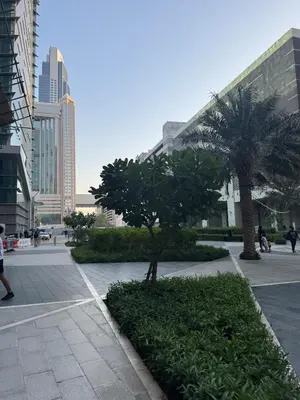 a city street with two palm trees and buildings at Affordable master bedroom hotel apartment in Dubai