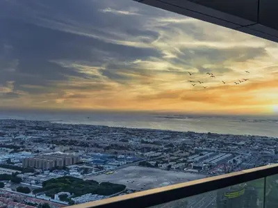 a group of birds flying in the sky over a city at Samani vacation homes 5210 ocean view in Dubai
