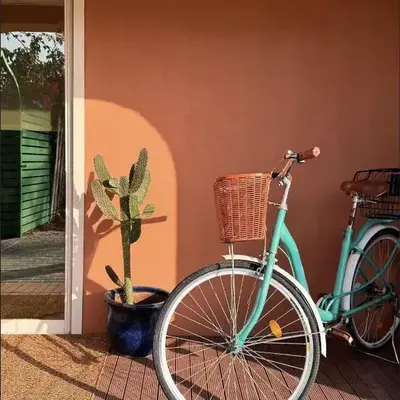 Palm Oasis Guest House