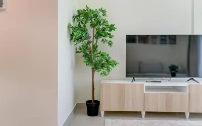 a living room with a tv and a table with a tree at Manchester Tower Dubai Marina in Dubai