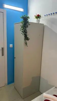 a door with a plant on top of it at Small Partition Room Barsha Heights Tecom in Dubai
