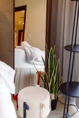a room with a mirror and a potted plant at Tropical Nest in Dubai