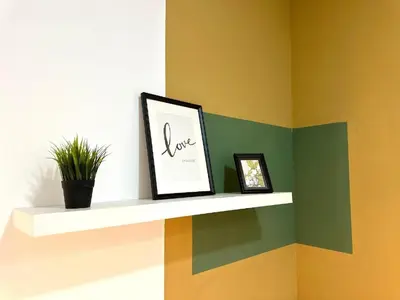 a shelf with two pictures and a plant on it at Charming Partition Room Barsha Heights Tecom in Dubai