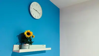 a blue wall with a clock and a flower on a shelf at Divine Partition Room Barsha Heights Tecom in Dubai