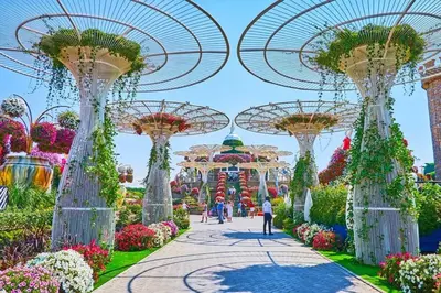 a walkway in the flower dome at dubai miracle garden at Modern & Stylish 1BR, Pool & Gym in Dubai