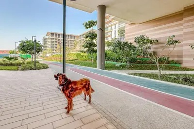 a dog standing on a sidewalk next to a pool at Central Park Building, City Walk - 1BR Sophisticated Apartment in Dubai