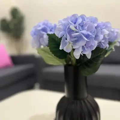 Karama Palace Home