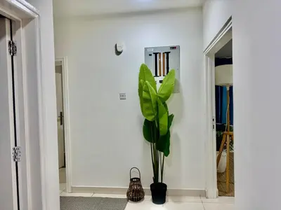 a plant in a room with a white wall at Spacious & cozy home 2-Bedroom in Dubai