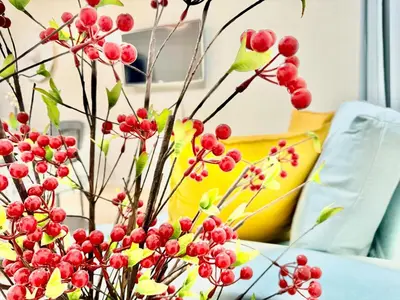 a vase filled with red berries on a couch at 5 mins walk to Burjuman metro in Dubai