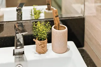 two potted plants sitting on top of a sink at BLVD - Urban Oasis Missoni 10 - Min to Dubai Mall in Dubai
