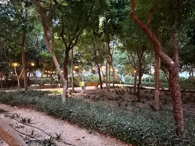 a park with a bench and trees and lights at 1BR Luxury Stay in Sobha Hartland in Dubai