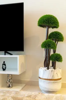 a vase with two trees in a room with a tv at Modern 1BR in Aykon City - Near Burj Khalifa & Canal in Dubai