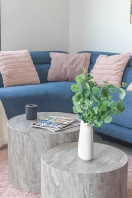 a living room with a blue couch and a table with a plant at Frank Porter - Hyati Avenue in Dubai
