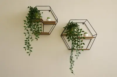 two shelves with plants on a wall at Modern Studio with Marina Skyline view in JLT - Prime Location near Metro in Dubai