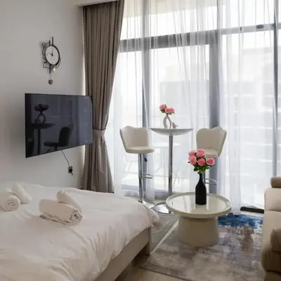 Luxe Studio Vibes Stylish & All New Pet Free