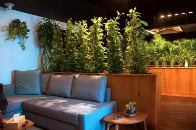 a couch in a room with plants on the wall at Botanic Apartment 1BR, Pool, Tennis Court in Dubai