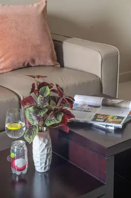 a coffee table with a vase with a plant on it at Frank Porter - Dt1 Tower, Downtown Dubai in Dubai