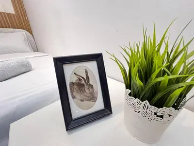 a picture of a rabbit on a table next to a plant at Solo space Partition room In Barsha Heights Tecom in Dubai