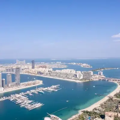 FIRST CLASS 1BR High Floor Luxury & Palm View