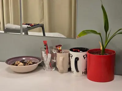 a table with a potted plant in a red vase at Modern Studio Near Dubai World Trade Centre in Dubai