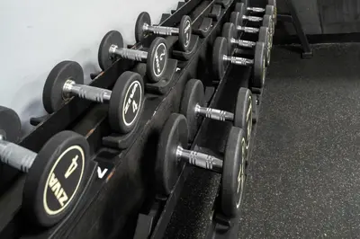 a row of black dumbbells in a gym at Modern 1BR with City View - Balcony - Near Metro in Dubai