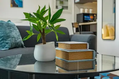 a plant in a white vase on a table with books at White Sage Modern Studio in JVC with Balcony and City Views in Dubai
