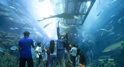 a group of people looking at fish in an aquarium at Hospitality Expert Rimal 5BR Marina Beach Pool in Dubai