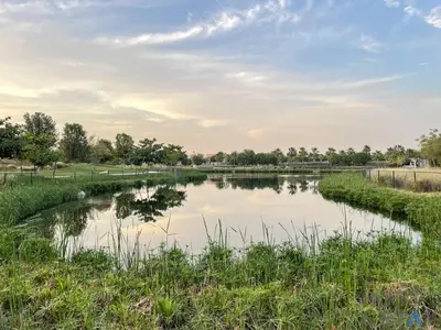 a pond in a field with grass and trees at Parkview 2BR in Orchid, Damac Hills in Dubai