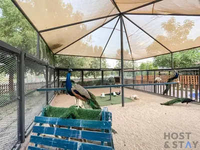 a peacock standing in a cage at a zoo at Parkview 2BR in Orchid, Damac Hills in Dubai