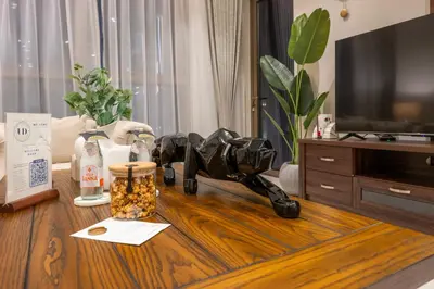 a camera on a table in a living room at Modern 1 bedroom with Direct Marina Access in Dubai