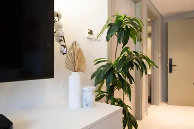 a plant in a white vase next to a plant at Stylish 1-Bedroom with Lake View in Business Bay in Dubai