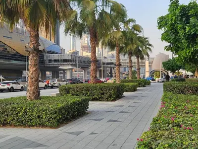 a sidewalk with palm trees on a city street at JLT Studio, Steps to Metro, High floor, Smart Home in Dubai
