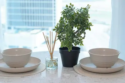 two bowls and a potted plant on a table at Cozy Studio, All Bills Included in Dubai