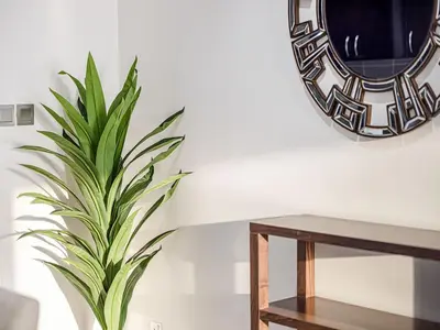 a plant next to a table and a mirror at Livin' Holidays - 1 BR - Anantara Lagoon Stay in Dubai