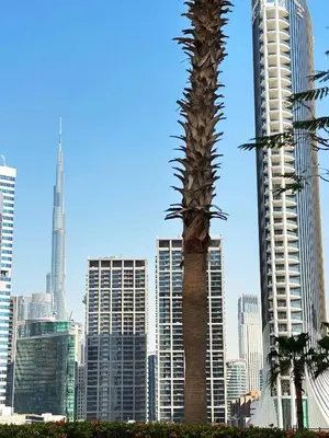 a palm tree in front of a city skyline at Frank Porter - Churchill Residence Tower 2 in Dubai