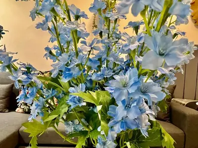 a bouquet of blue and white flowers in a vase at Karama pretty unit near metro in Dubai