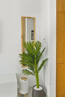 a potted plant sitting in front of a mirror at Estudio Coral en Dubai By BeBalmy in Dubai
