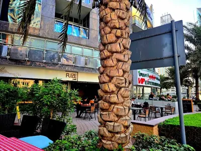 a palm tree in front of a building at Marina Residence tower A in Dubai