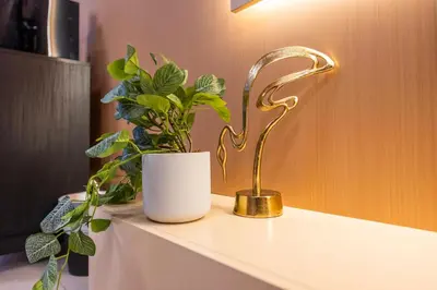 a plant sitting on a table next to a lamp at Exquisite Studio by UDH Sway Residence at Dubai Hills in Dubai