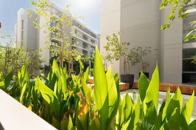 a garden with green plants in front of a building at HAVN - 1 bedroom in Torino, Al Barsha in Dubai