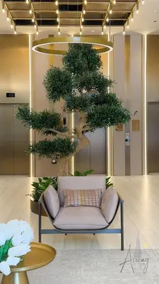 a couch in a room with a large tree at Urban Oasis 1BR Designer Nest Chic & Cosy in Dubai