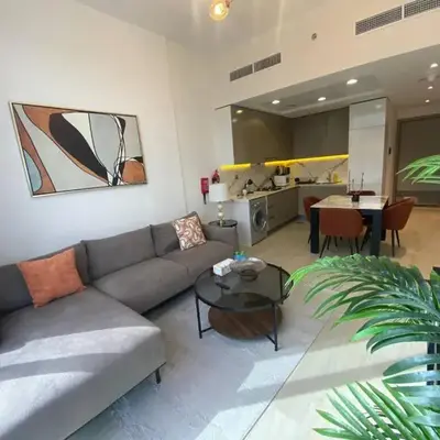 Large 1 Bedroom Apartment in Azizi Riviera 15