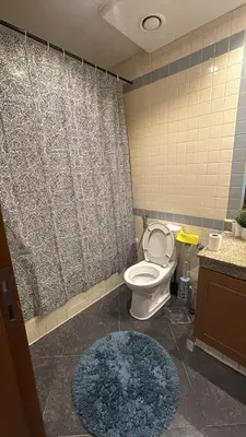 a bathroom with a toilet and a shower curtain at Lovely cozy studio in Tecom near Metro in Dubai