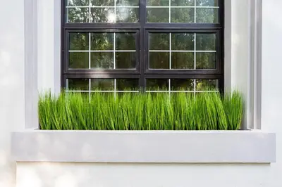 a window box filled with tall green grass at Iconic Villa in Dubai