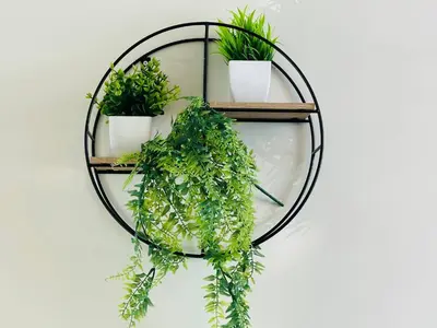 a shelf with potted plants on a wall at 1 BR luxury flat Damac hills2 in ‘Ūd al Bayḑāʼ