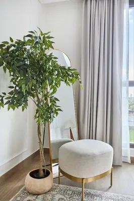 a chair and a plant in a living room at Frank Porter - Al Jazi in Dubai