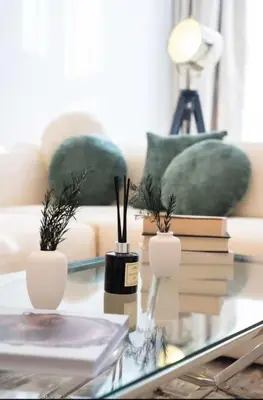 a coffee table with books and potted plants on it at Paramount 10 Min to Dubai Mall, Luxury Amenities in Dubai