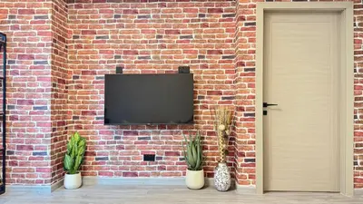 a brick wall with a tv and two potted plants at 1BDR Centrally Located Near Metro in Dubai