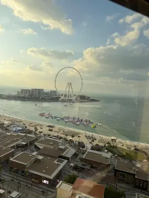 a view of a beach with a ferris wheel at Jumeirah Beach Luxury Collective in Dubai