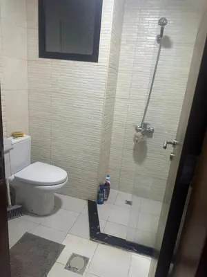 a bathroom with a shower and a toilet at Twin tower in Dubai